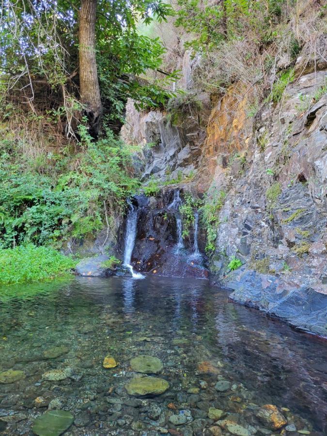 Free Spirit Villa Vale do Torno Bagian luar foto